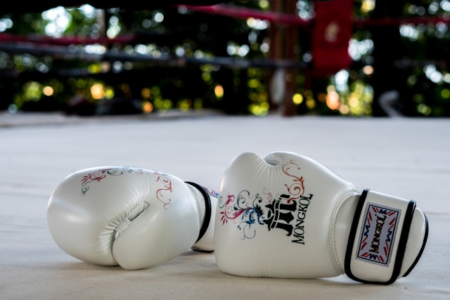 gants de boxe